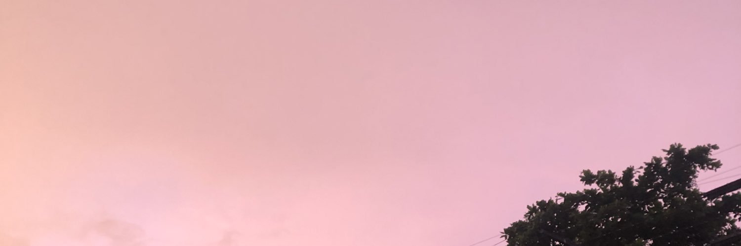 liarasmota's profile banner image