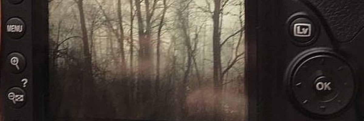 scentsoir's profile banner image