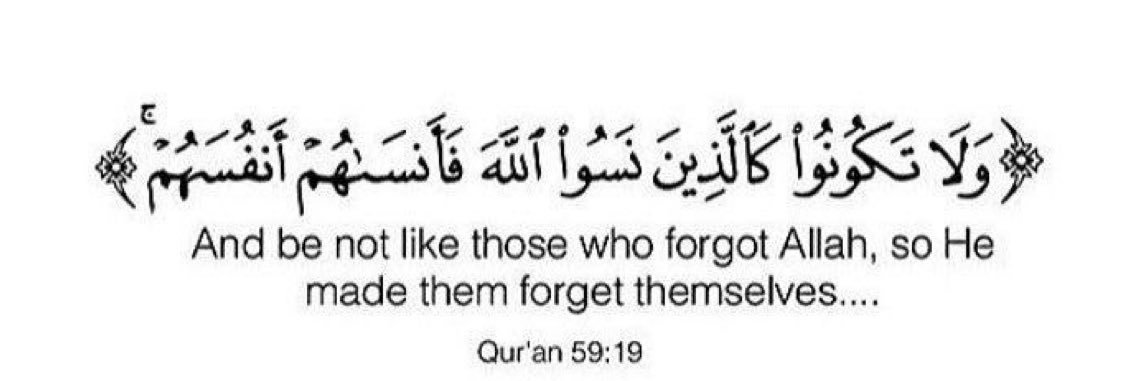 دعــد🪼 banner