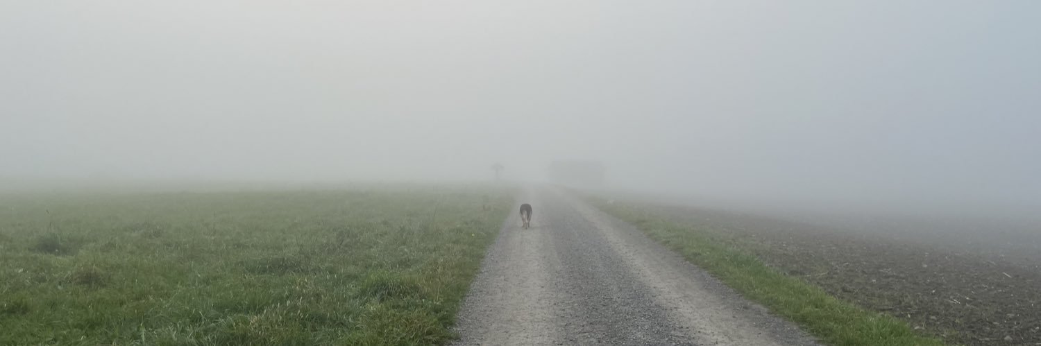 Loris🇨🇭 banner