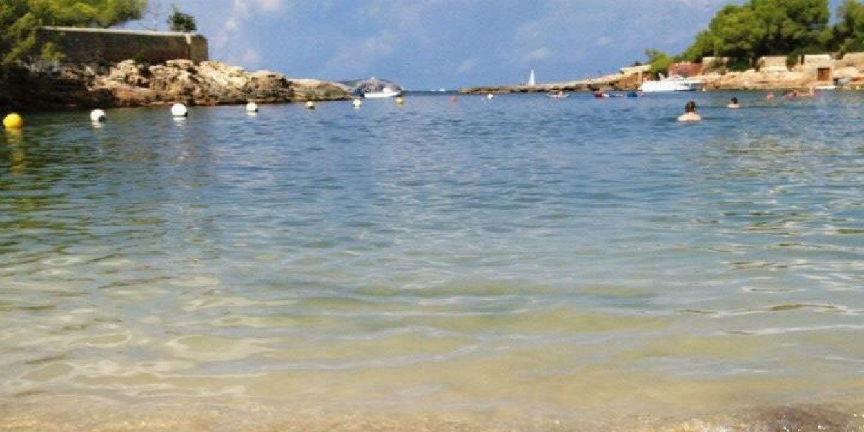 Deborah Mason banner