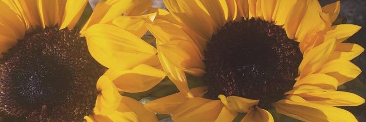 pponce_'s profile banner image