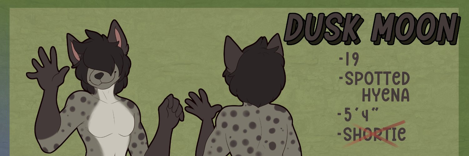 DuskMoon79306's profile banner image