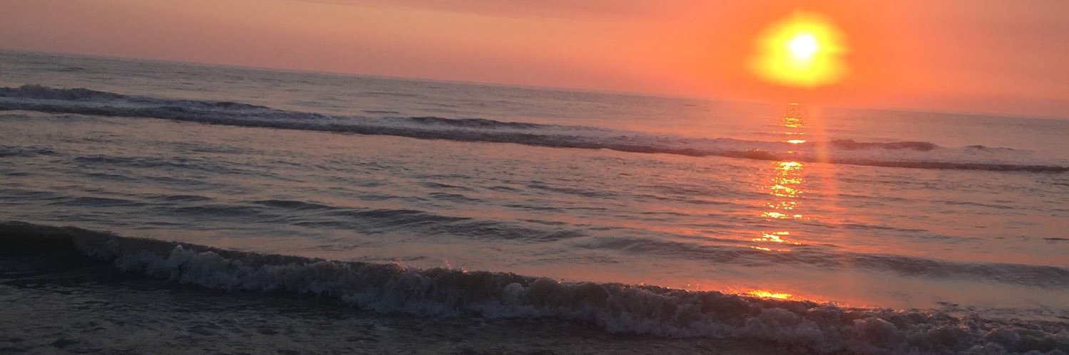 florpelero's profile banner image