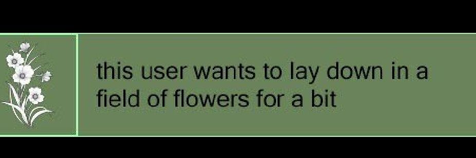 𓇢𓆸 Orchid Fae 𓆈𓋼𓍊 𓆏 banner