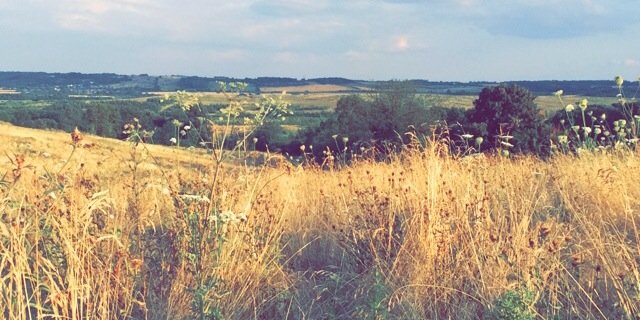 Henrywagstaffe's profile banner image