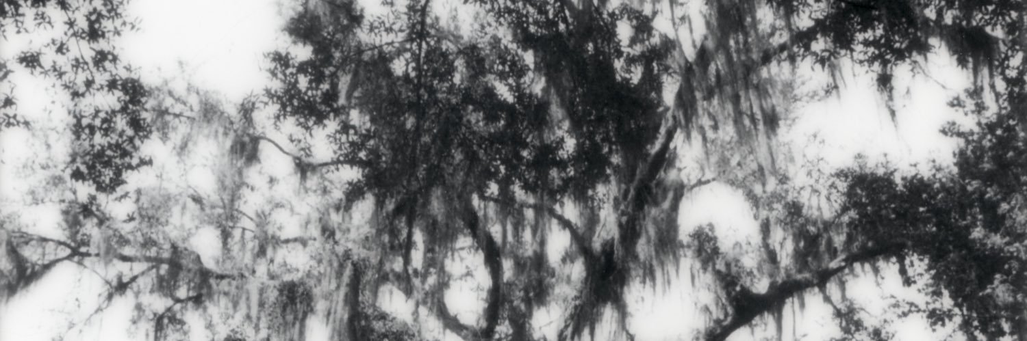 pervertsep's profile banner image