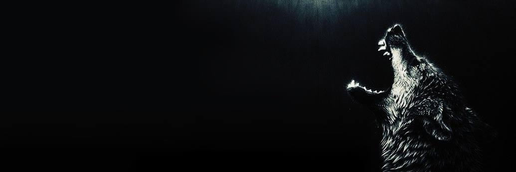 FeliMaia's profile banner image