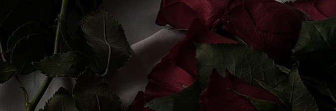 BySensibility's profile banner image
