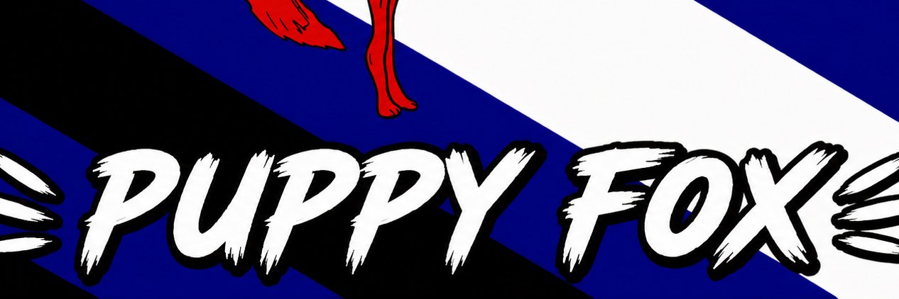 VoidfoxVR's profile banner image