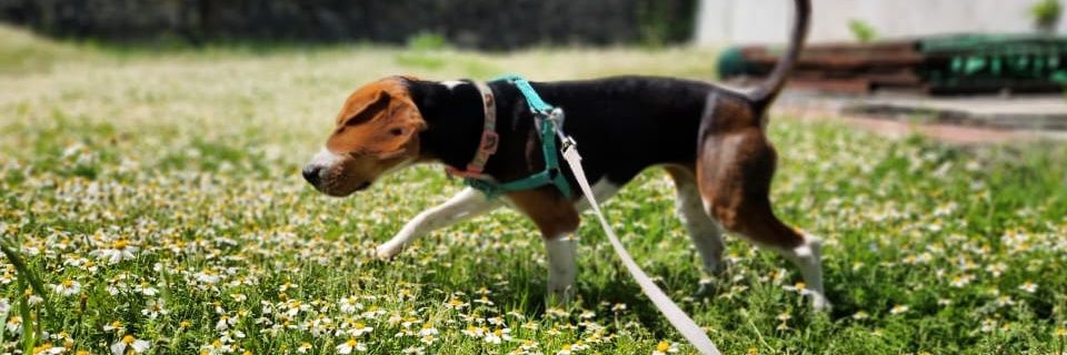 Pablo_AO's profile banner image