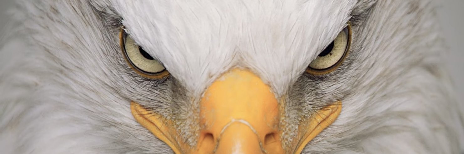 🦅MIGHTY M15🦅 banner