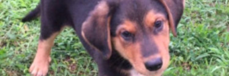 telder19's profile banner image