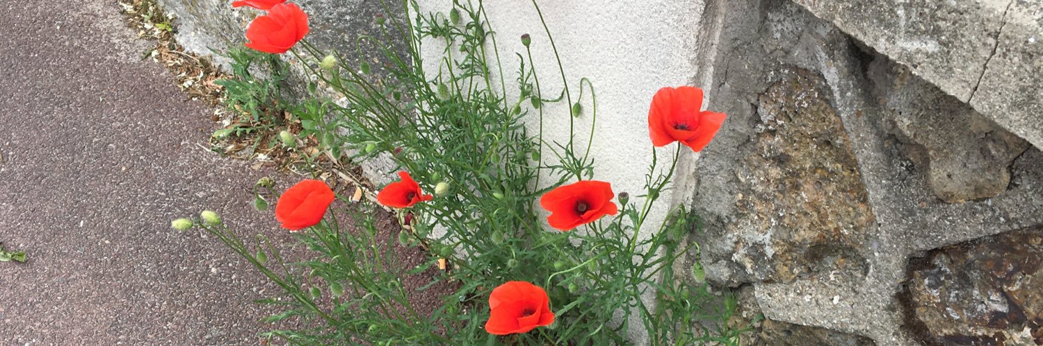 SpaceTimeContinuum banner