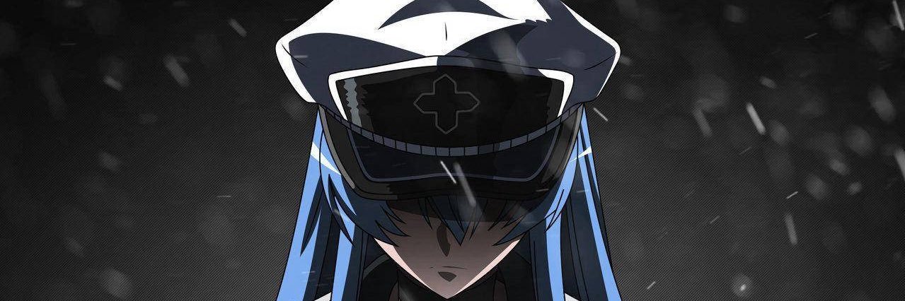 Esdeath banner