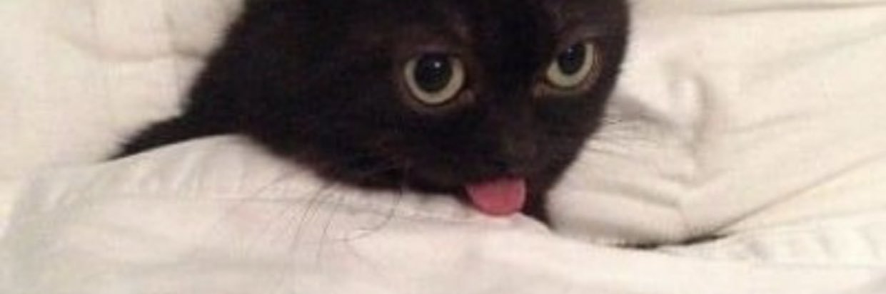 eeesabel's profile banner image