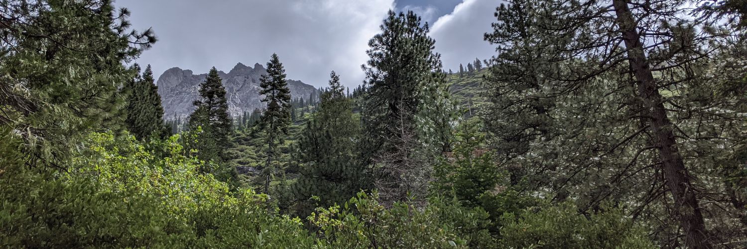 David_Pinsky's profile banner image
