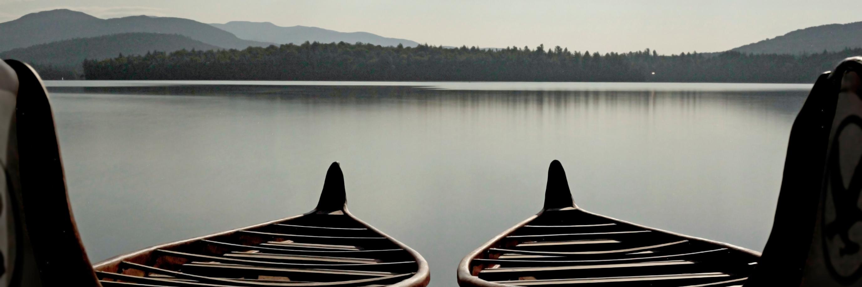 ylsaranac's profile banner image