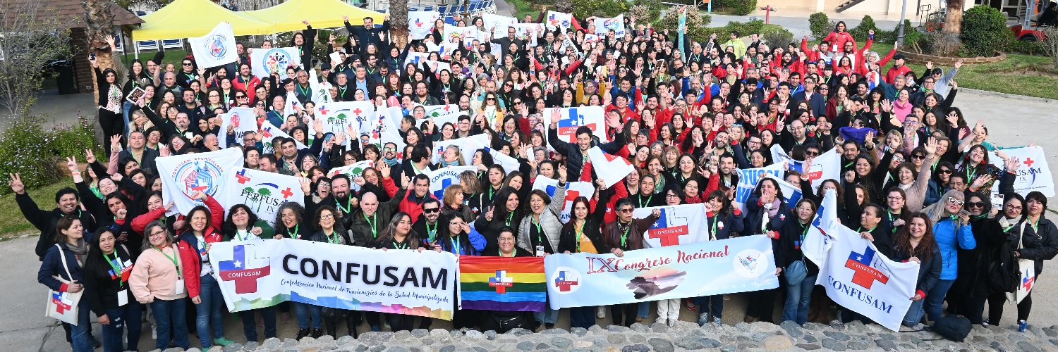Confusam Chile's banner