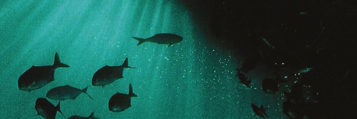 ᵎᵎ｡🧷𖦹°‧𝓡𝓪𝔃 banner