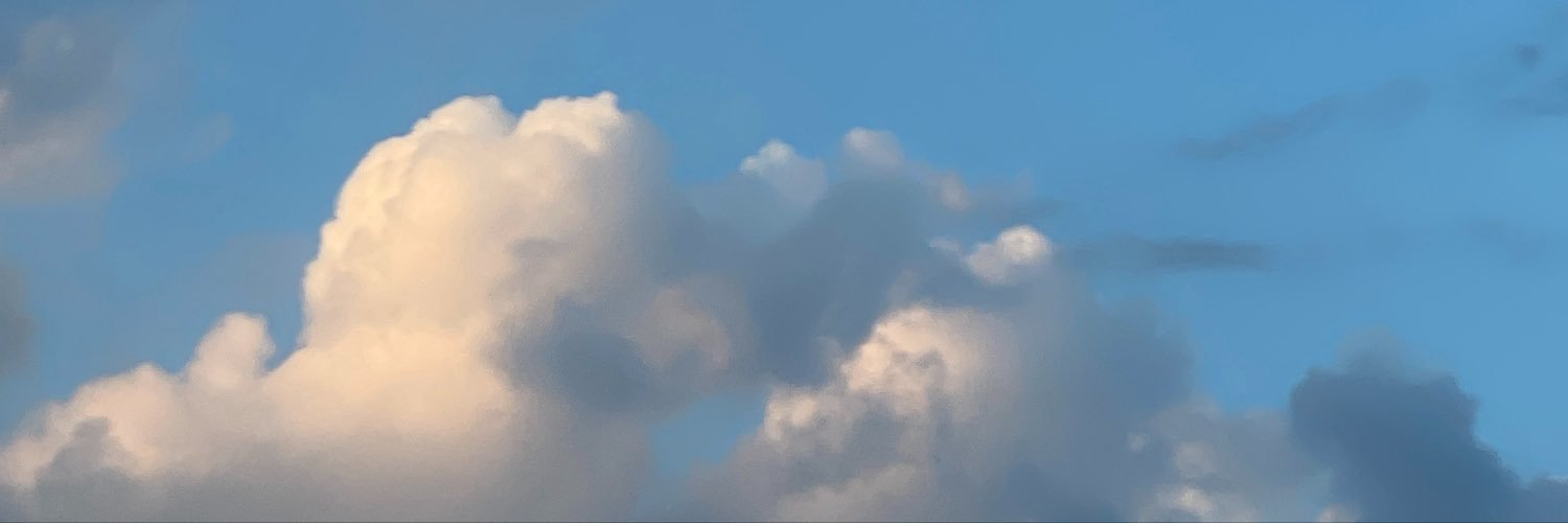 friitstowapper3's profile banner image