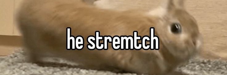 MScugcat30956's profile banner image