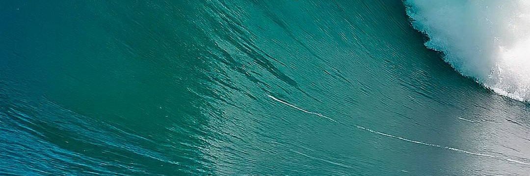 Moe Look Distorted banner