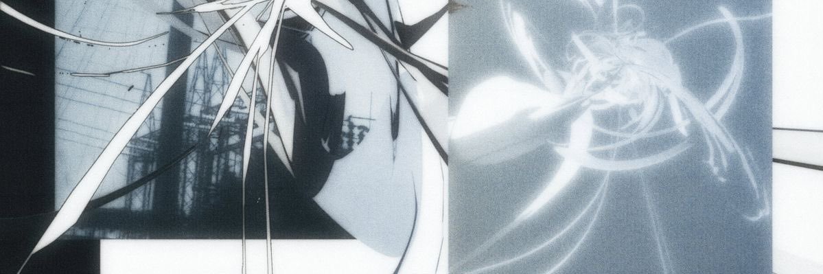 zanka banner