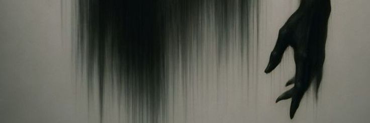 sharktail banner