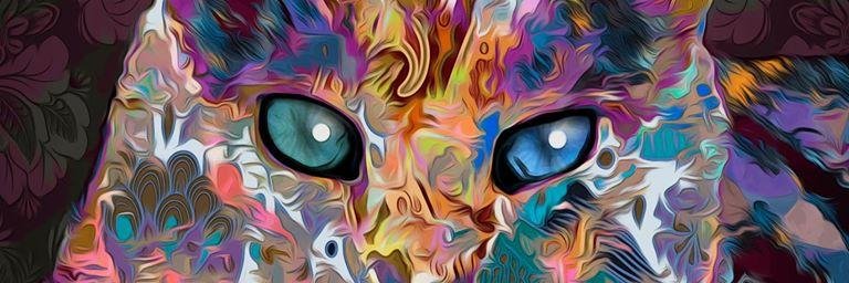 PetsatPeaceTO's profile banner image