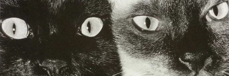 sickestsuck's profile banner image