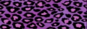 OOZELeonardo's profile banner image