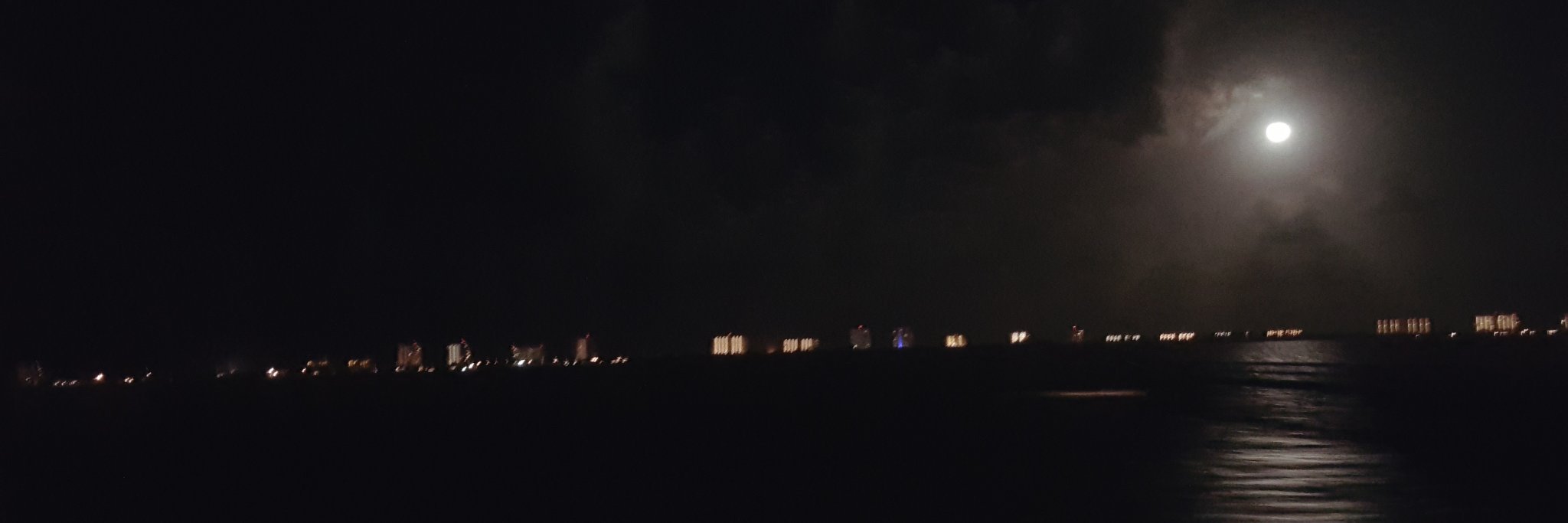 TheWildOne1's profile banner image