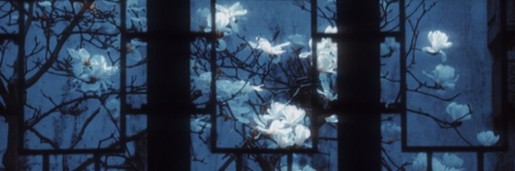 ✦꒷・₊˚𝒴𝓊𝓀𝒾𝒽𝒾𝓀ℴ 🪐꒦˚₊ banner