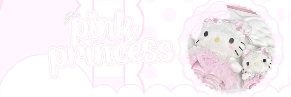 princess lei ⋆ ₊˚⟡ banner