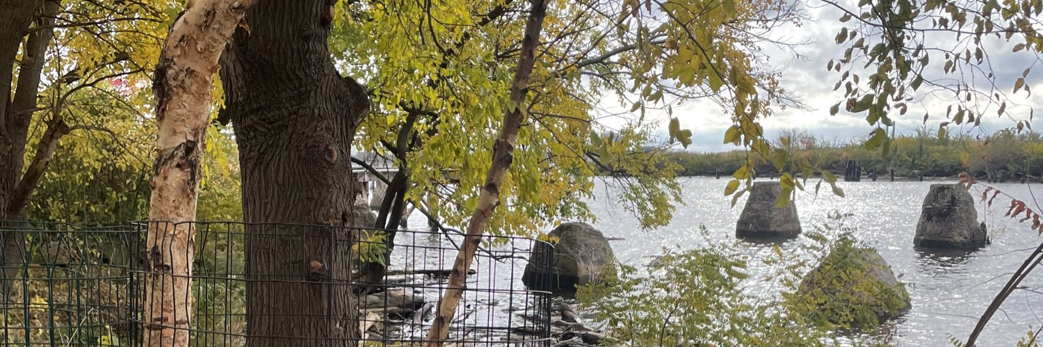 Lady Danni Morinich banner