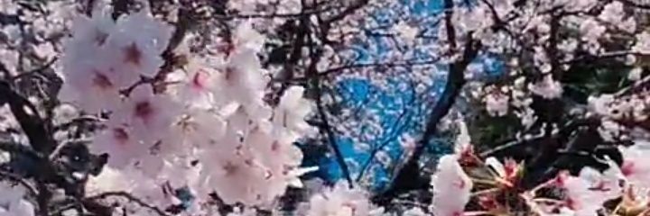 zerofive88's profile banner image