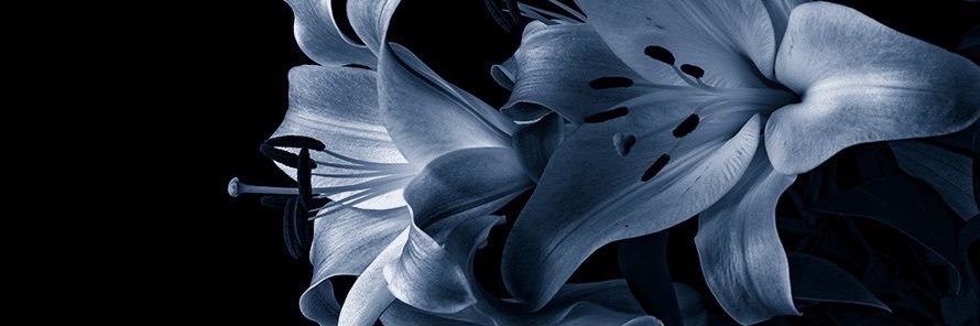 xu6ui's profile banner image