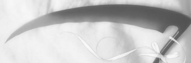 ⸝⸝aurelia🪽 banner