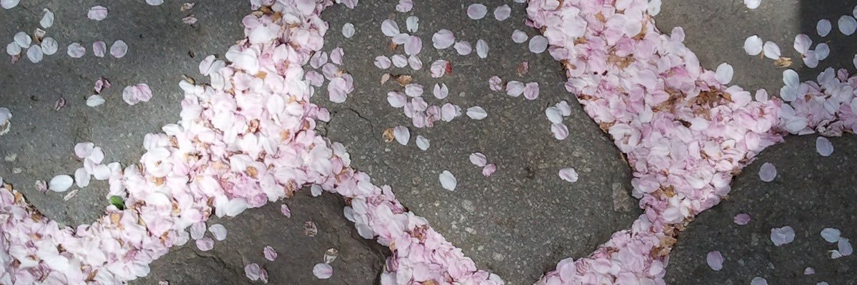 ella 𓏲ּ𝄢 banner