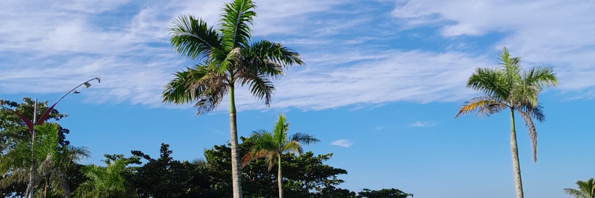 _Taailameu's profile banner image