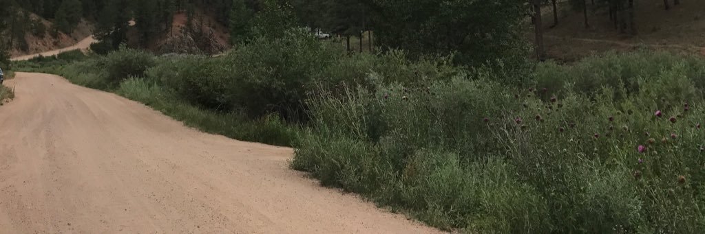 briangardiner's profile banner image