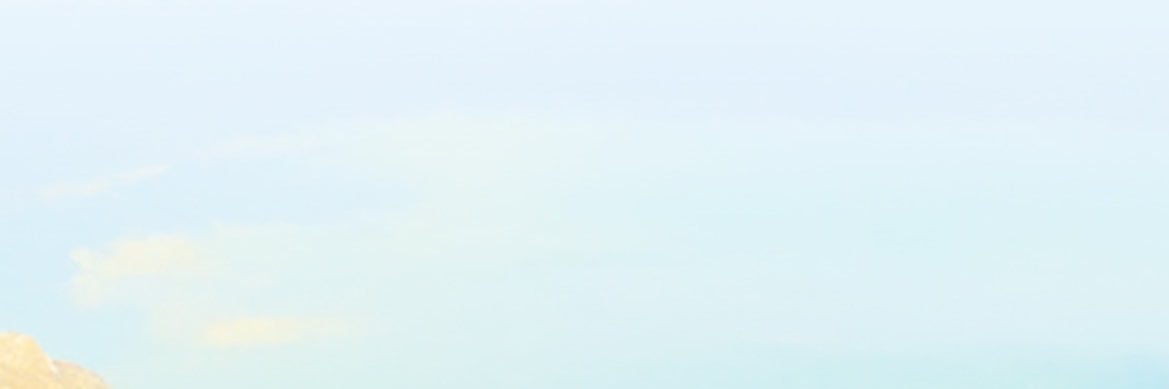 regina banner