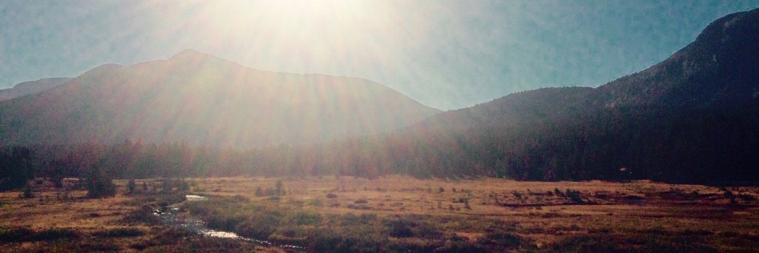 thisisnatalieg's profile banner image