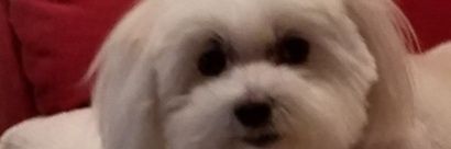 Sheree_Lynn's profile banner image