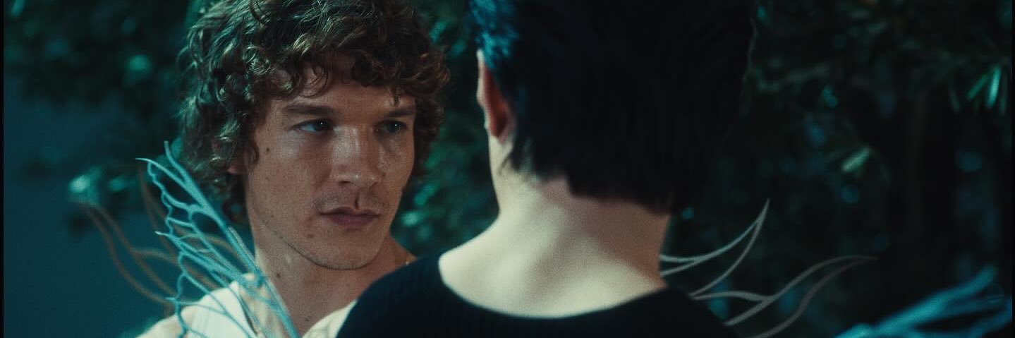 tee ૮ ྀིᴗ͈ . ᴗ͈ ྀིა banner