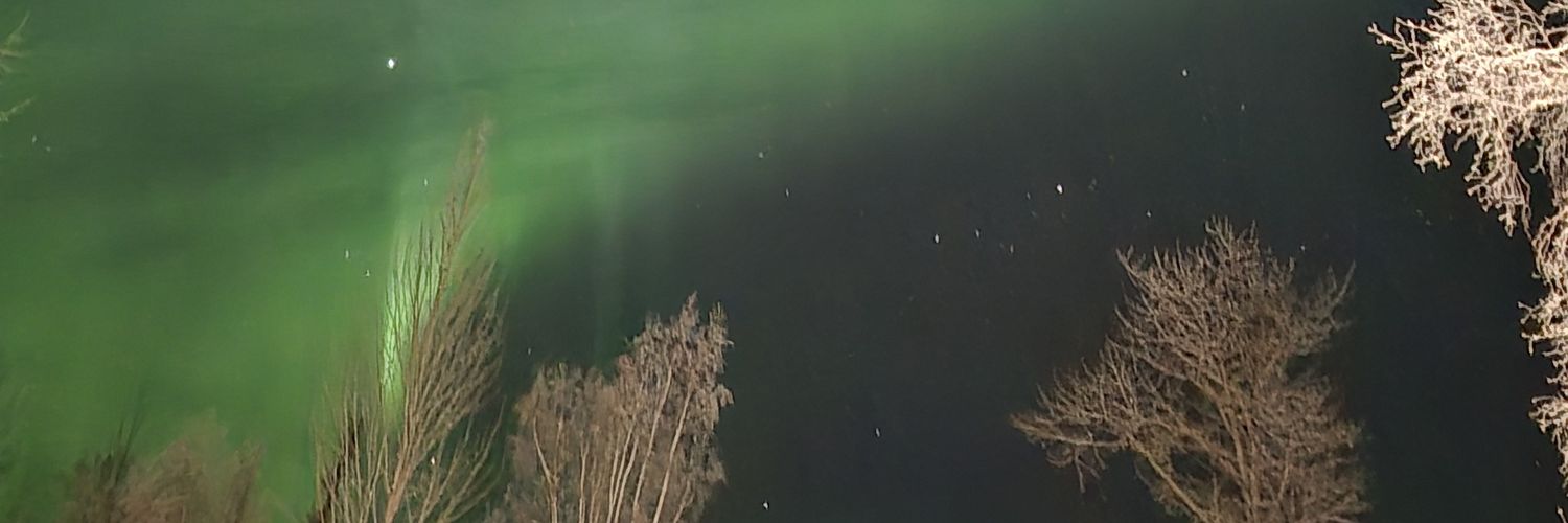 AlaskaStateToken banner