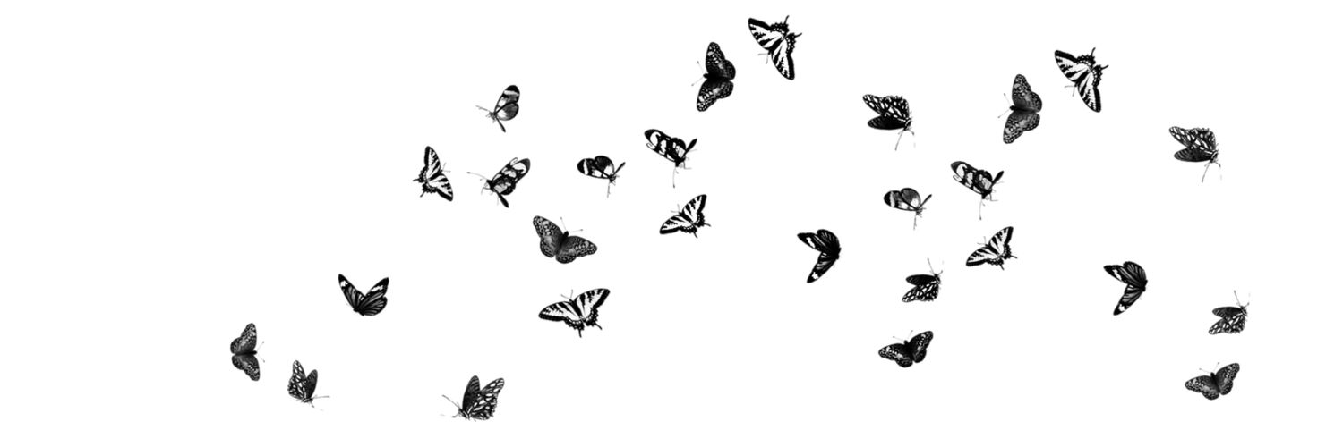 ⎯⎯ 𝑻ℎ𝑒 𝑪𝑢𝑟𝑖𝑜𝑢𝑠 𝑩𝑜𝑦 banner