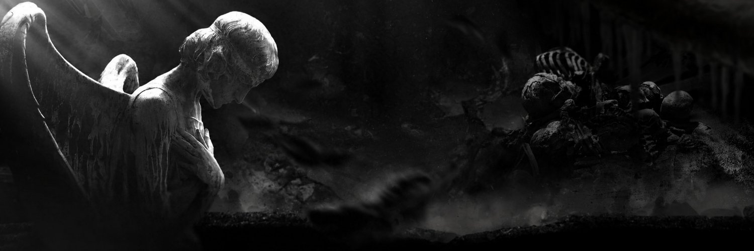 realvisionfn's profile banner image