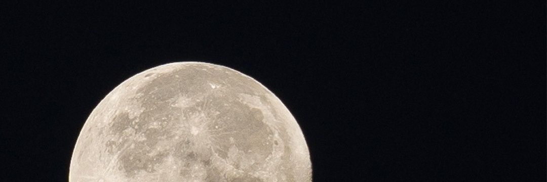 eillit_0x's profile banner image